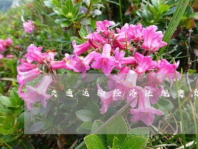交通运输经济法规变更和解除合同
