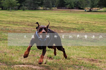 交通运输部首批严重违法失信 交通运输部首批严重违法失信