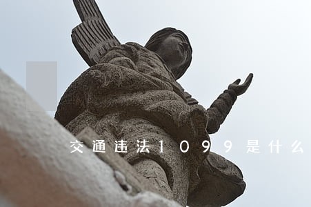 交通违法1099是什么