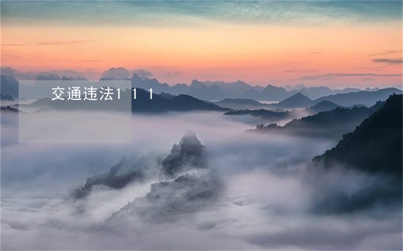 交通违法111 交通违法111