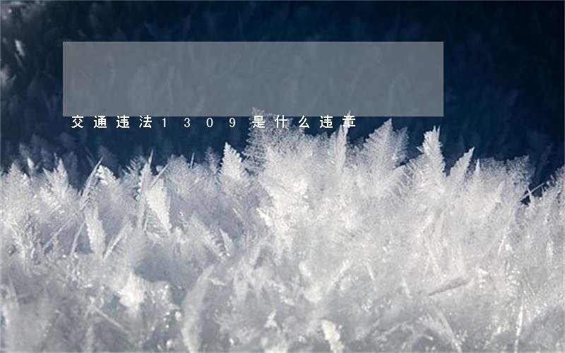 交通违法1309是什么违章 交通违法1309是什么违章