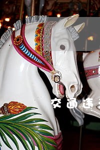 交通违法13524是什么意思 交通违法13524是什么意思