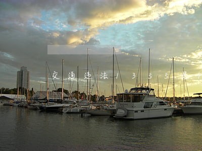 交通违法1355是什么意思 交通违法1355是什么意思