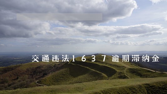 交通违法1637逾期滞纳金 交通违法1637逾期滞纳金