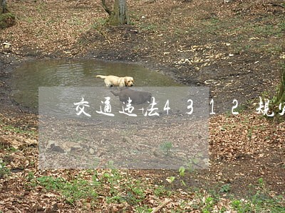 交通违法4312规定 交通违法4312规定