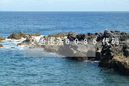 交通违法6035代码 交通违法6035代码