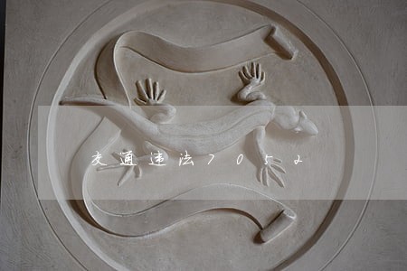 交通违法7052