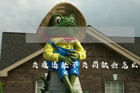 交通违法不交罚款会怎么样不 交通违法不交罚款会怎么样不