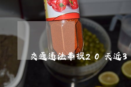 交通违法举报20天近3万起 交通违法举报20天近3万起
