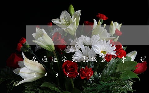 交通违法交了钱显示未处理/2023020439170 交通违法交了钱显示未处理/2023020439170