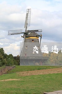 交通违法交费网上缴费 交通违法交费网上缴费