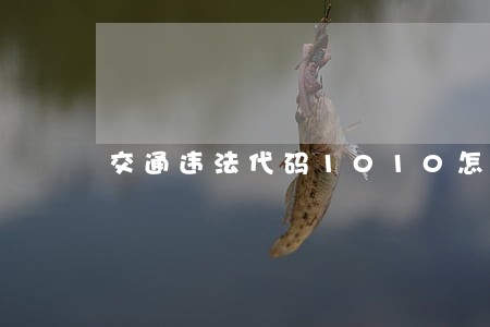 交通违法代码1010怎么处罚 交通违法代码1010怎么处罚
