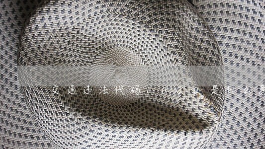 交通违法代码1020是什么意思 交通违法代码1020是什么意思