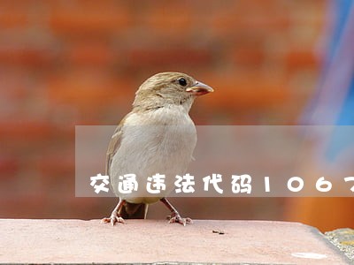 交通违法代码1067 交通违法代码1067