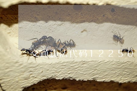 交通违法代码12250是什么