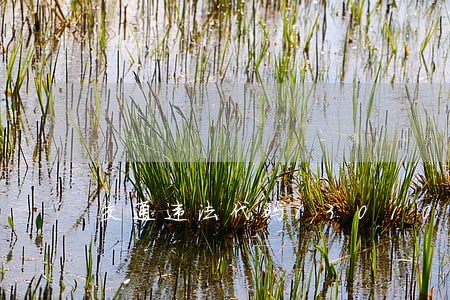 交通违法代码13010是什么意思 交通违法代码13010是什么意思