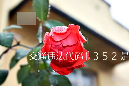交通违法代码1352是什么 交通违法代码1352是什么