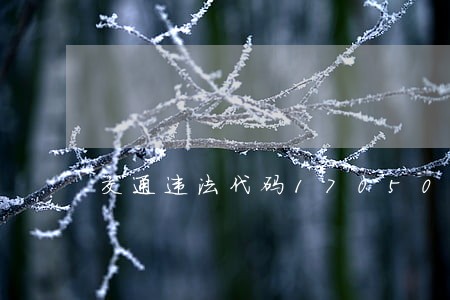 交通违法代码17050是什么意思 交通违法代码17050是什么意思