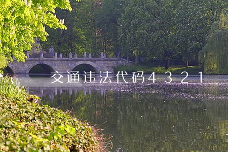 交通违法代码4321 交通违法代码4321