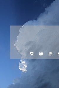 交通违法代码7031 交通违法代码7031
