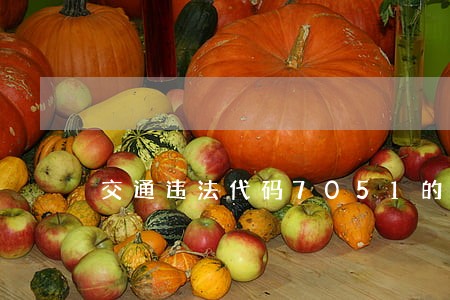 交通违法代码7051的规定 交通违法代码7051的规定