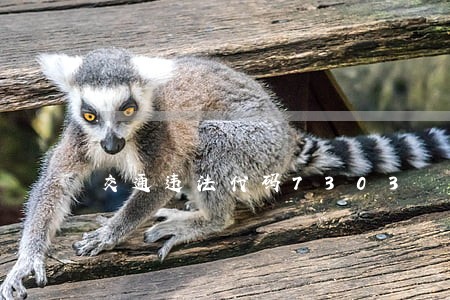 交通违法代码7303 交通违法代码7303
