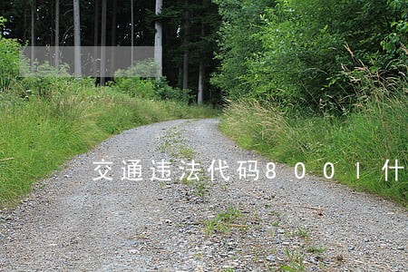交通违法代码800l什么意思