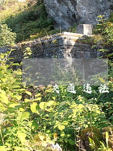交通违法代码8301是什么意思 交通违法代码8301是什么意思