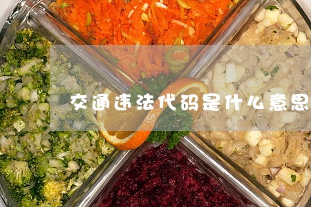 交通违法代码是什么意思
