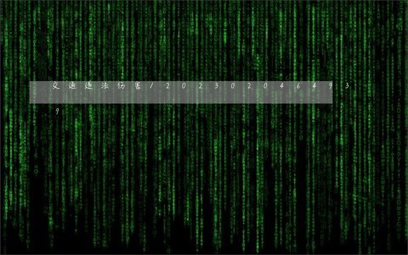 交通违法伤害/2023020464939 交通违法伤害/2023020464939