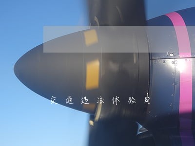 交通违法体验岗 交通违法体验岗