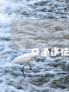 交通违法保证书范文3篇 交通违法保证书范文3篇