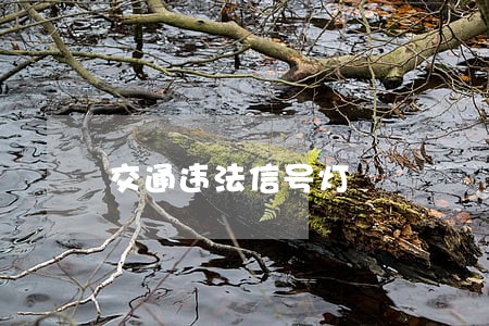 交通违法信号灯