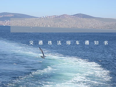 交通违法停车通知书 交通违法停车通知书