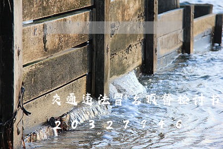交通违法冒名顶替检讨书范文/2023020327946 交通违法冒名顶替检讨书范文/2023020327946