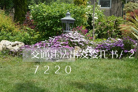 交通违法出发委托书/2023020477220 交通违法出发委托书/2023020477220