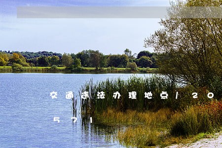 交通违法办理地点/2023020428571 交通违法办理地点/2023020428571