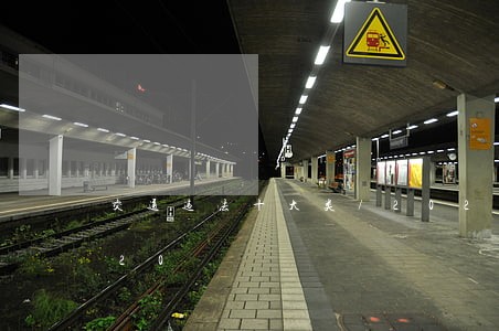 交通违法十大类/2023020371720 交通违法十大类/2023020371720