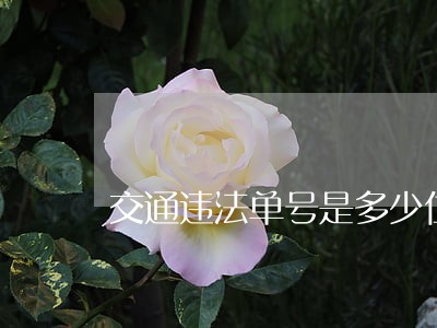 交通违法单号是多少位数