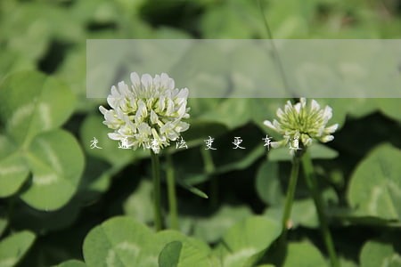 交通违法变更车道 交通违法变更车道