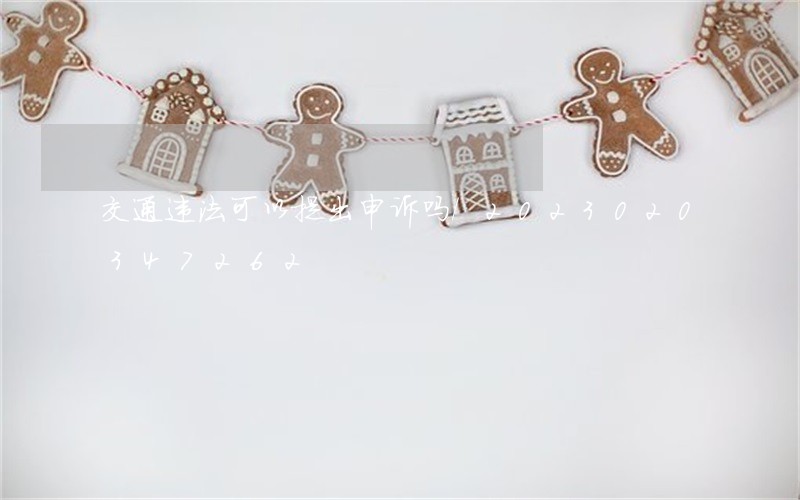 交通违法可以提出申诉吗/2023020347262