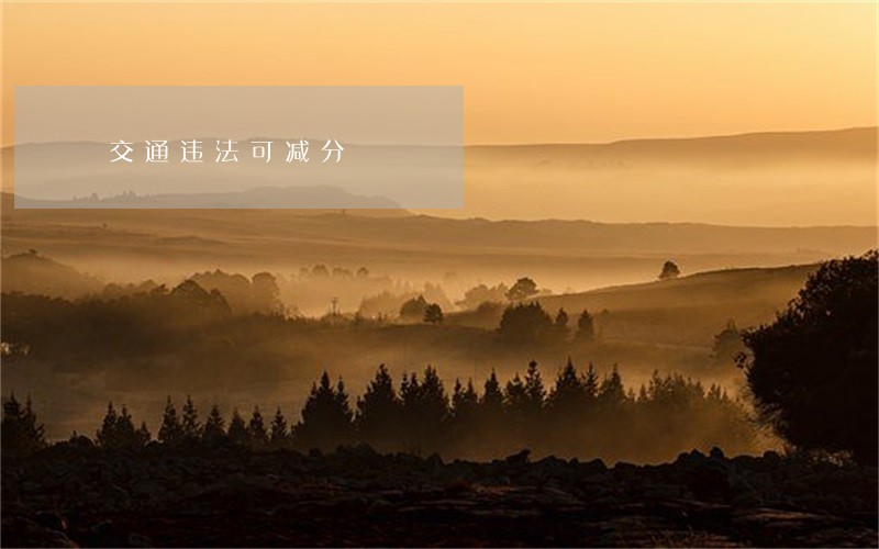 交通违法可减分 交通违法可减分