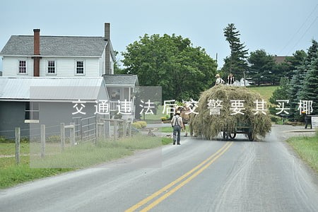 交通违法后交警要其买椰奶 交通违法后交警要其买椰奶