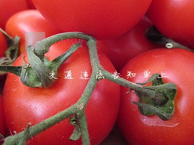 交通违法告知单上 交通违法告知单上