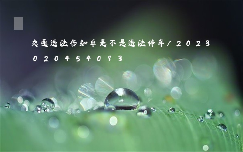 交通违法告知单是不是违法停车/2023020454093
