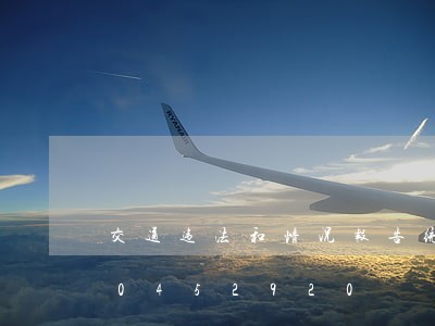 交通违法和情况报告统计表/2023020452920 交通违法和情况报告统计表/2023020452920