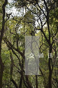 交通违法四高压是什么