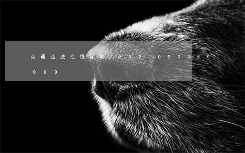 交通违法在线深圳/2023020369089 交通违法在线深圳/2023020369089