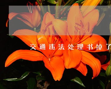 交通违法处理书掉了 交通违法处理书掉了