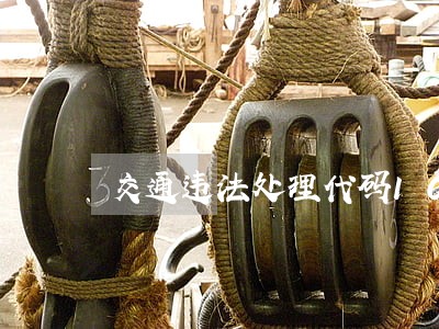 交通违法处理代码10017